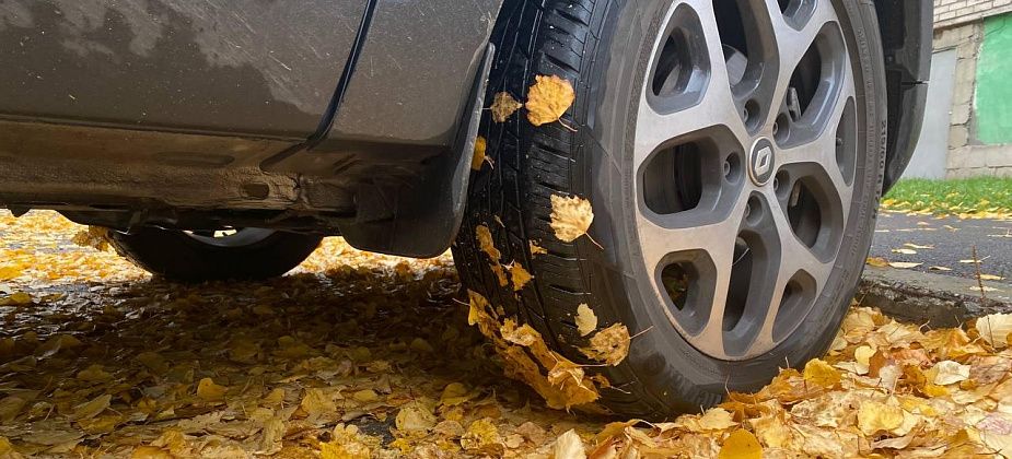 Синоптики говорят об ухудшении погоды и о первом снеге 