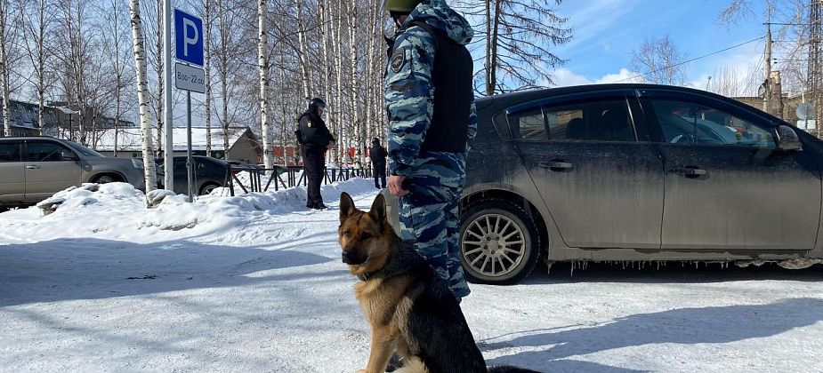 В районе бассейна в Серове прошли учения спецслужб? 