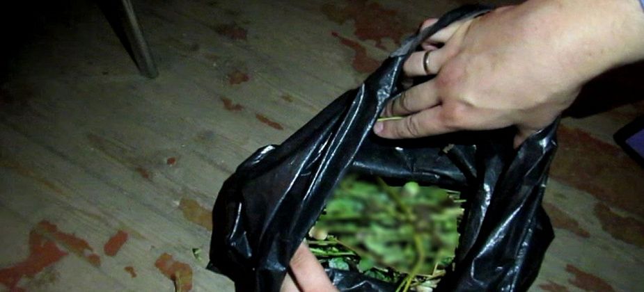 В Серове и Сосьве стартовал второй этап полицейской операции "Мак"