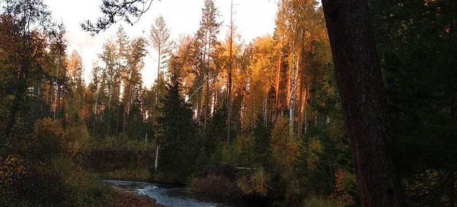 Североуралец Валерий Завозов пополнил копилку на исследование северных рек