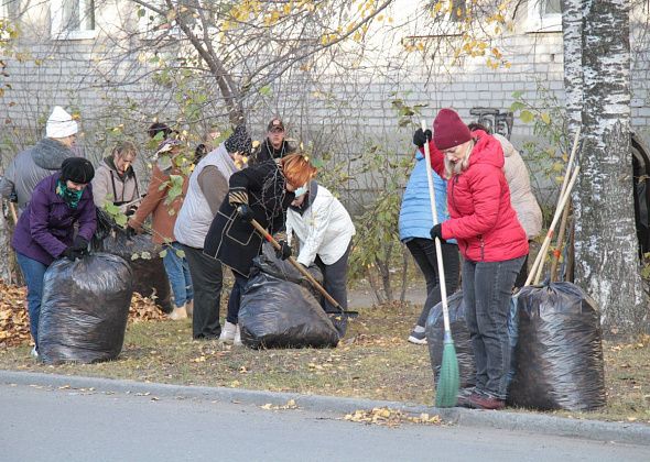 Стали известны сроки проведения весенних субботников в Серове