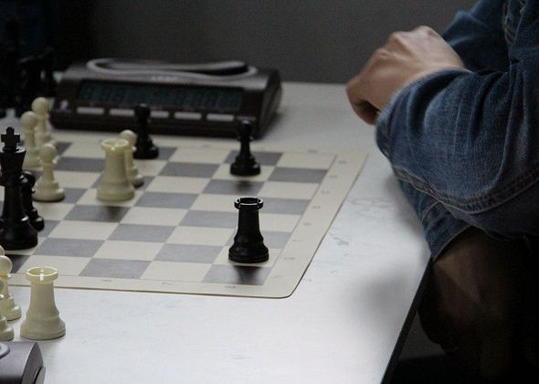 В августе в Серове пройдут два шахматных турнира