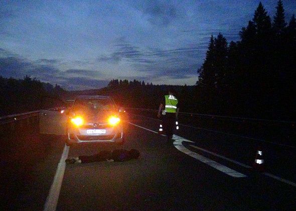 Под Серовом водитель "Тойоты" насмерть сбил нетрезвого пешехода, который в наушниках шел по центру дороги