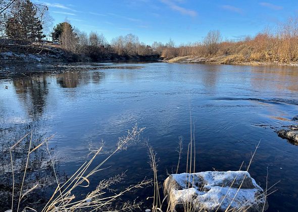 Осень 2025 года на севере области была на 2 градуса теплее нормы