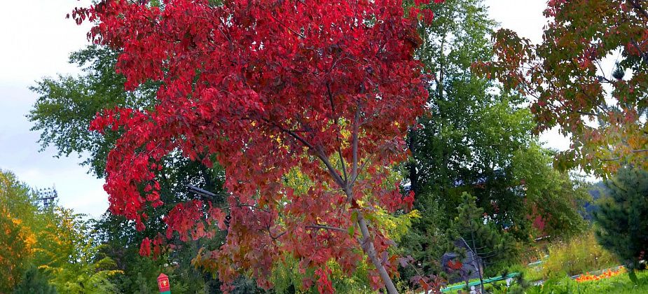 К субботе дожди закончатся и потеплеет