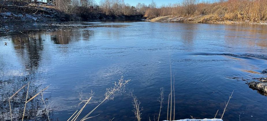 Осень 2025 года на севере области была на 2 градуса теплее нормы