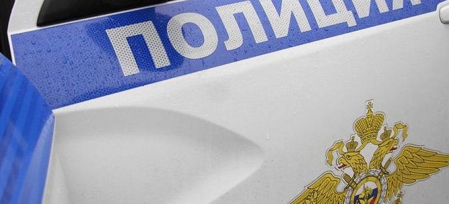 Серовчанина, вынесшего в рукавах куртки водку из магазина, опознали по выразительным бровям