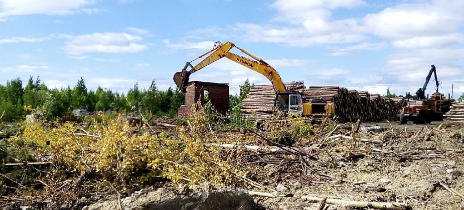 «Варвары – металл ищут, гробят природу». В Серове вновь активизировались «черные копатели»? 