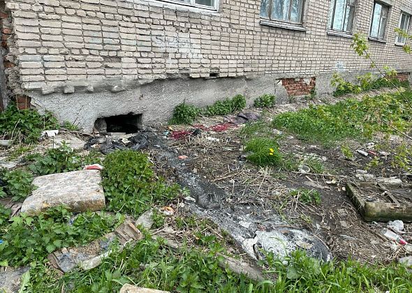 "Запах этого говна к нам идет". Серовчане жалуются на канализацию, вытекающую из подвала “общаги”