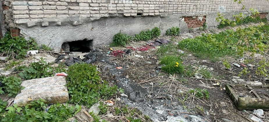 "Запах этого говна к нам идет". Серовчане жалуются на канализацию, вытекающую из подвала “общаги”