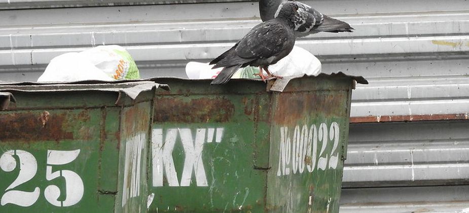 РЭК Свердловской области утвердила повышение (!) тарифов на вывоз мусора