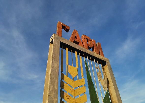 Подозреваемый в краже житель Гарей ударил полицейского в грудь ногой. И стал обвиняемым по другому делу