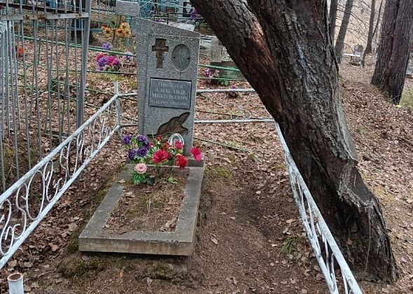 Сосна может упасть на могилу. Серовчанка интересуется, кто ответственен за уборку опасных деревьев на кладбище