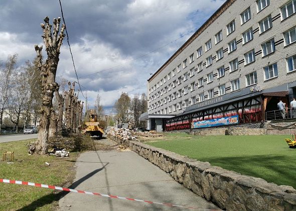 На обрезку и валку деревьев и кустарников в Серове выделено больше 6 миллионов рублей