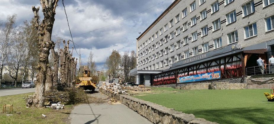 На обрезку и валку деревьев и кустарников в Серове выделено больше 6 миллионов рублей