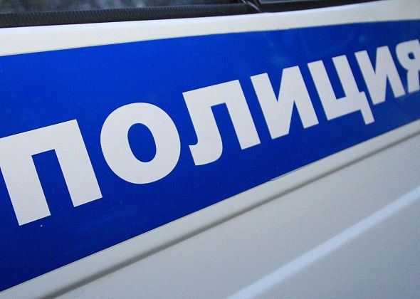 "Комендантский патруль" доставил в полицию Серова 9 подростков