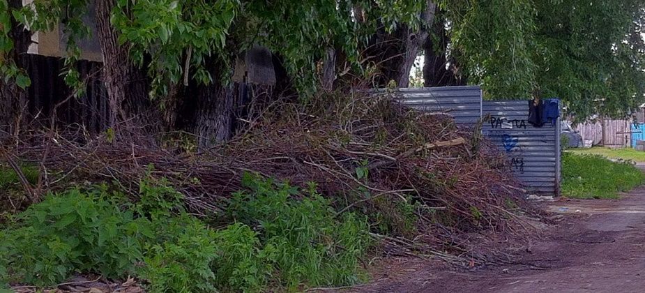 Уберите мусор! Серовчанка просит ликвидировать стихийную свалку, которая образовалась у забора ее дома