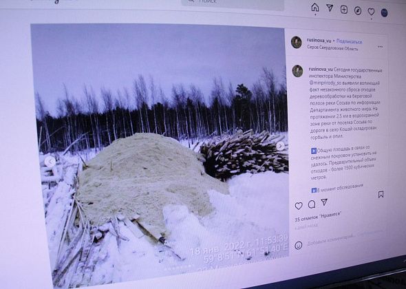 "Это уже даже не хамство, а форменное свинство"... Между Сосьвой и Кошаем выявили несанкционированную свалку отходов деревообработки