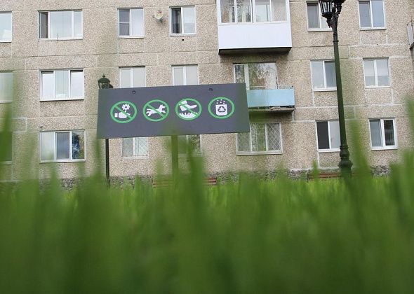 На содержание газонов, обустройство и содержание цветников в Серове выделено 11,6 миллиона рублей