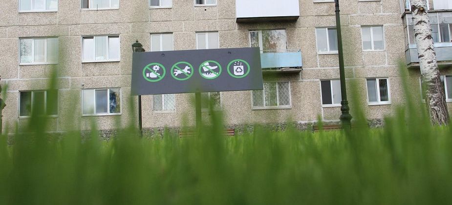 На содержание газонов, обустройство и содержание цветников в Серове выделено 11,6 миллиона рублей