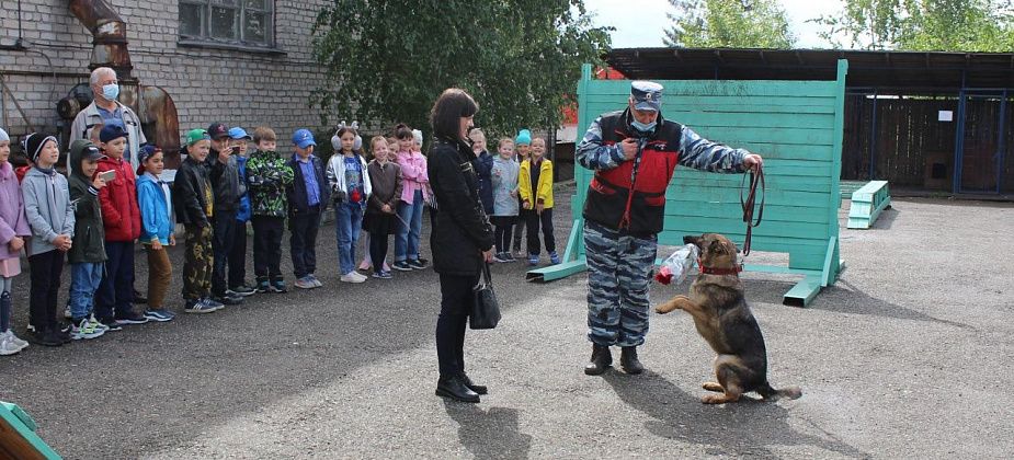 Полиция Серова продолжает проводить уроки безопасности. Овчарка Ума Турман преподнесла учителю цветы 