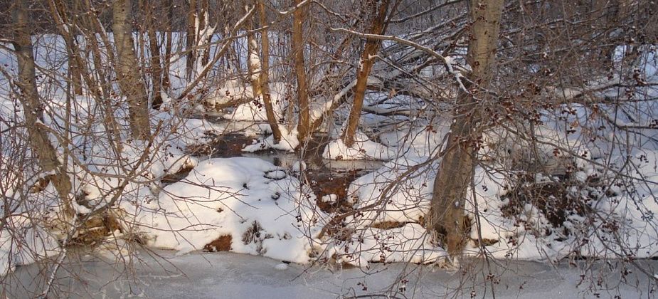 Рыбак пожаловался в прокуратуру Серова, что в Какву сливают нечистоты