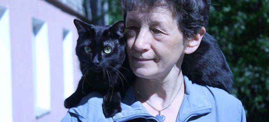 О черных котах
