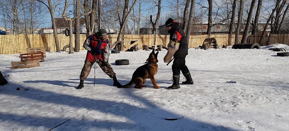 В Серове прошел тренинг-семинар для собаководов
