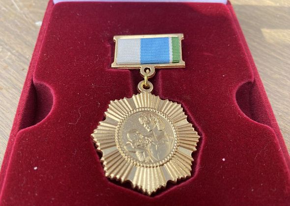 Жители Серова и района получат «семейные» награды за рождение детей и полувековые браки