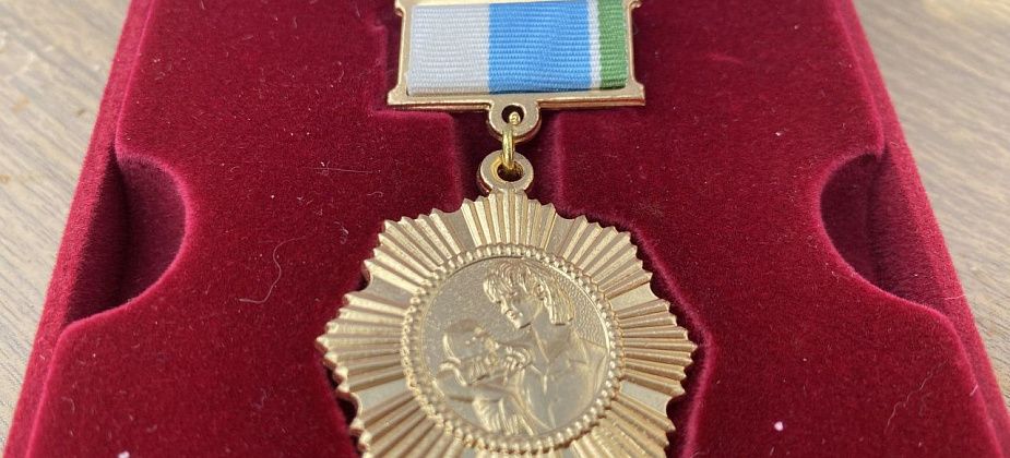 Жители Серова и района получат «семейные» награды за рождение детей и полувековые браки