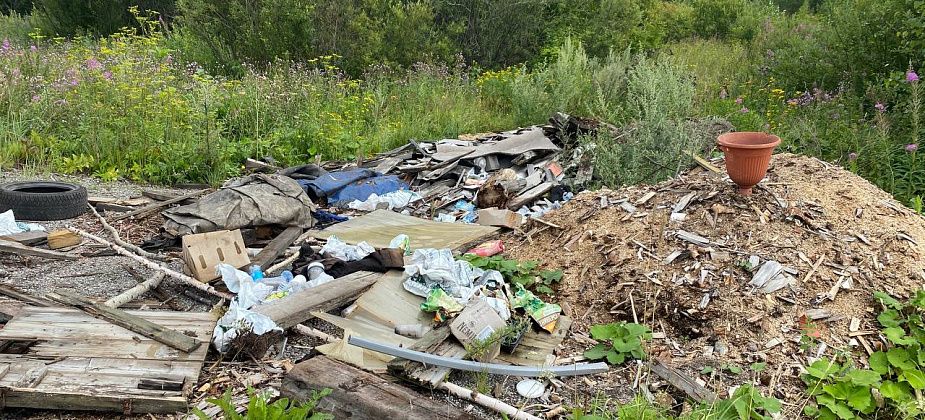 Серовская прокуратура проводит проверку из-за свалки мусора в районе Новой Колы