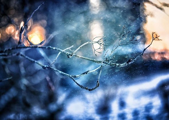 В пятницу ожидается последний теплый день этой осени