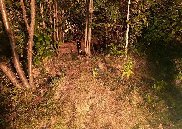 В Серове продолжается расследование дела о гибели ребенка, тело которого нашли в яме в поселке Красноярка