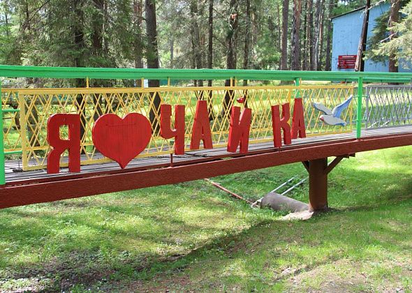На летний отдых в загородные лагеря Серова поступило 4037 заявлений, а отдохнуло 1610 детей