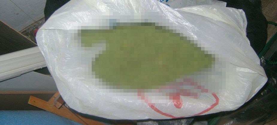 Под суд пошел серовчанин, который дома и у сожительницы хранил коноплю