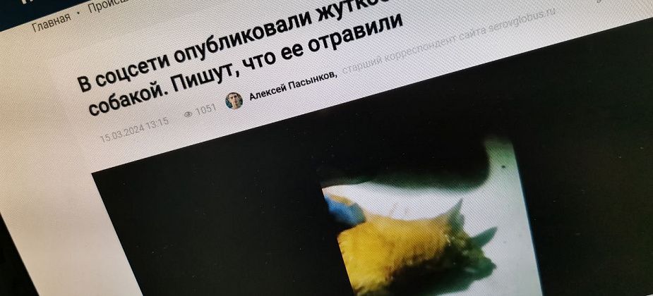 Полиция Серова продолжает проверку сообщений о массовой гибели собак. Животных могли отравить
