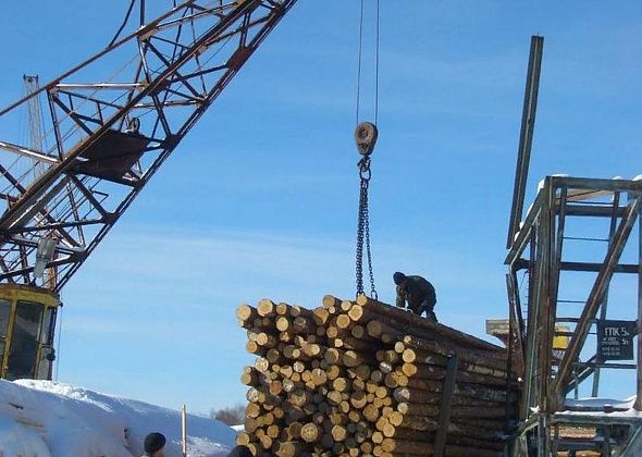 В регионе деятельности Серовского таможенного поста экспорт леса увеличился на 6%