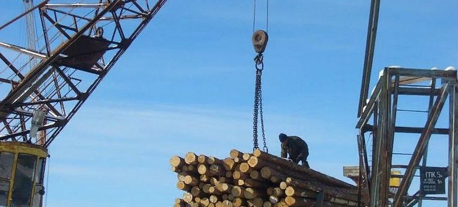 В регионе деятельности Серовского таможенного поста экспорт леса увеличился на 6%