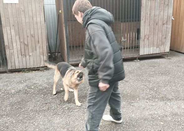 Для серовских школьников провели проф-тур по полиции