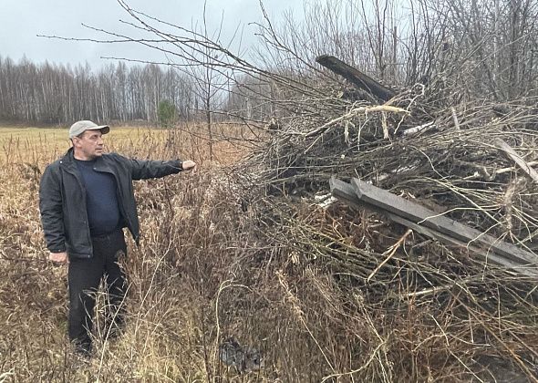 “Город облагораживают, а за городом серут”. На окраине Серова вывалили обрезанные ветки
