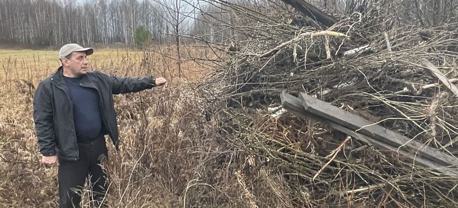 “Город облагораживают, а за городом серут”. На окраине Серова вывалили обрезанные ветки