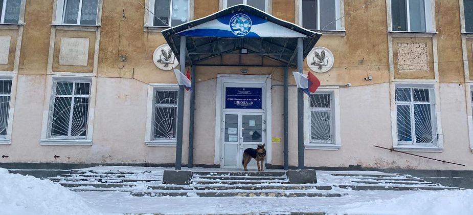 В Серове беспризорный пес  держит в страхе жителей микрорайона Сортировка