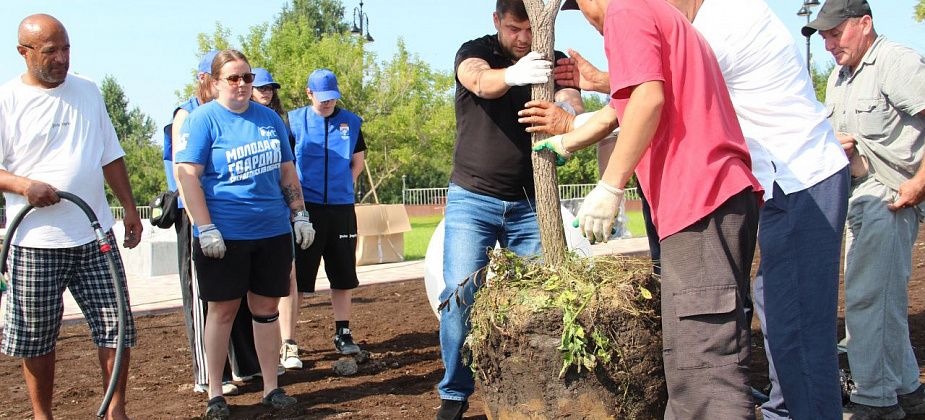 “Они на 100% подходят под наш климат”. В сквере ДКМ глава Серова и волонтеры высадили шаровидные ивы