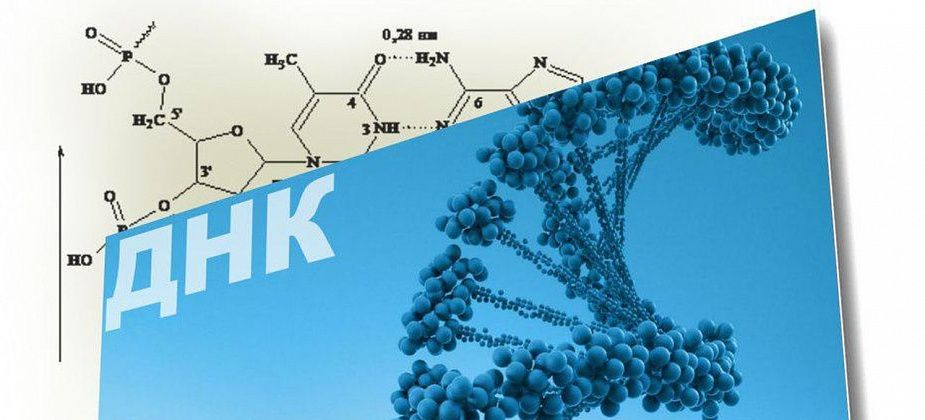 В России собираются ввести генетические паспорта, что это такое и для чего они нужны?