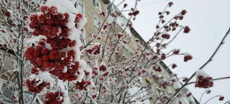 Синоптики прогнозируют мягкую и малоснежную погоду