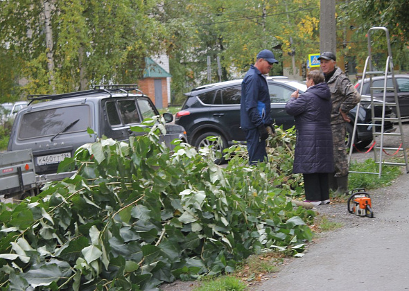 Депутат Думы Серова взялся пилить тополя на улице Каляева
