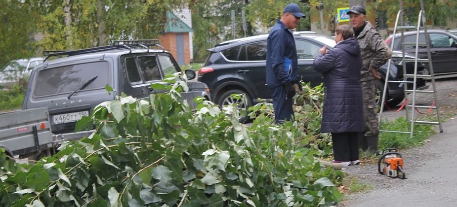 Депутат Думы Серова взялся пилить тополя на улице Каляева