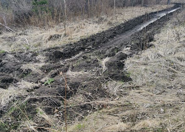 На создание минерализованных полос в Серовском округе выделено 1,4 миллиона рублей