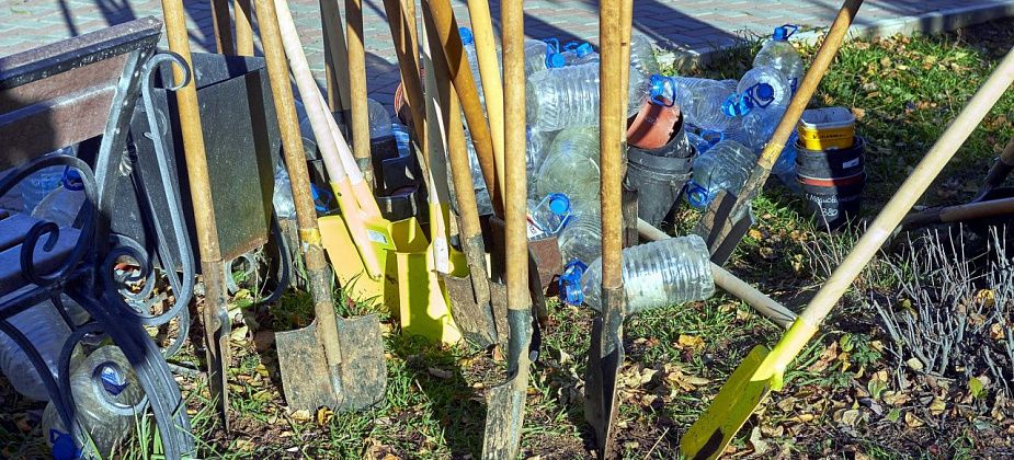 В Серове на улице Льва Толстого посеют газон и высадят кустарники Диабло