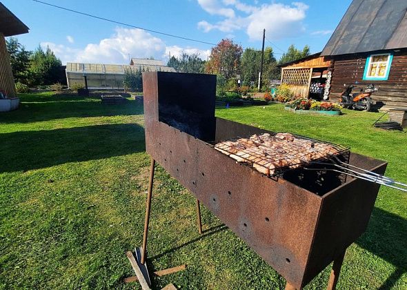 В Серове с 27 апреля будет действовать особый противопожарный режим